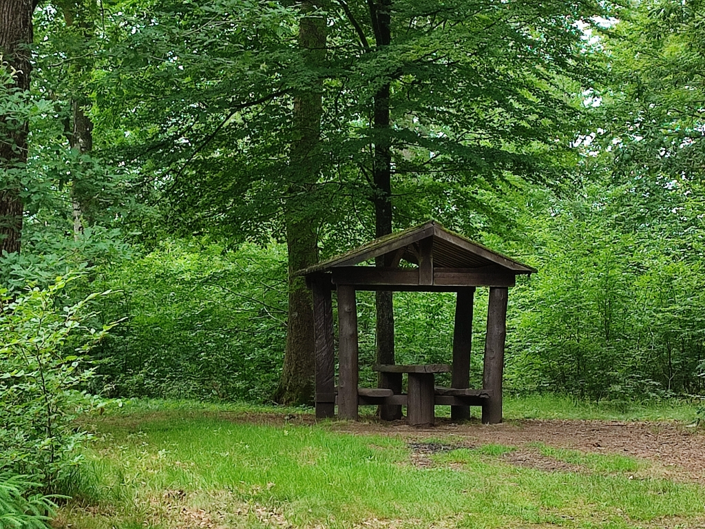 Pique-nique du Bois de Meussin